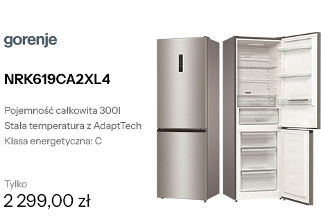 Gorenje NRK619CA2XL4