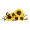 LEGO Botanicals