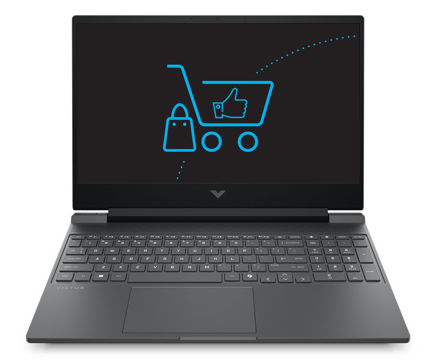 HP VICTUS 15 Ryzen 5 240/24GB/1TB+512 RTX5050