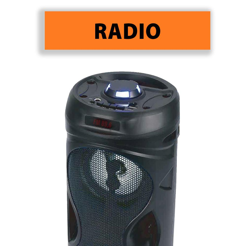 Manta ZESTAW MUZYCZY MANTA SPK815