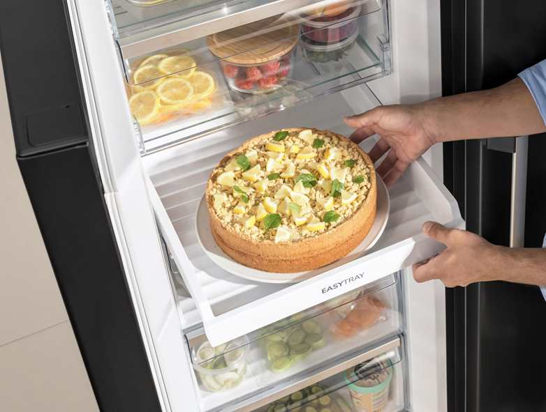 Gorenje FN619EABK6