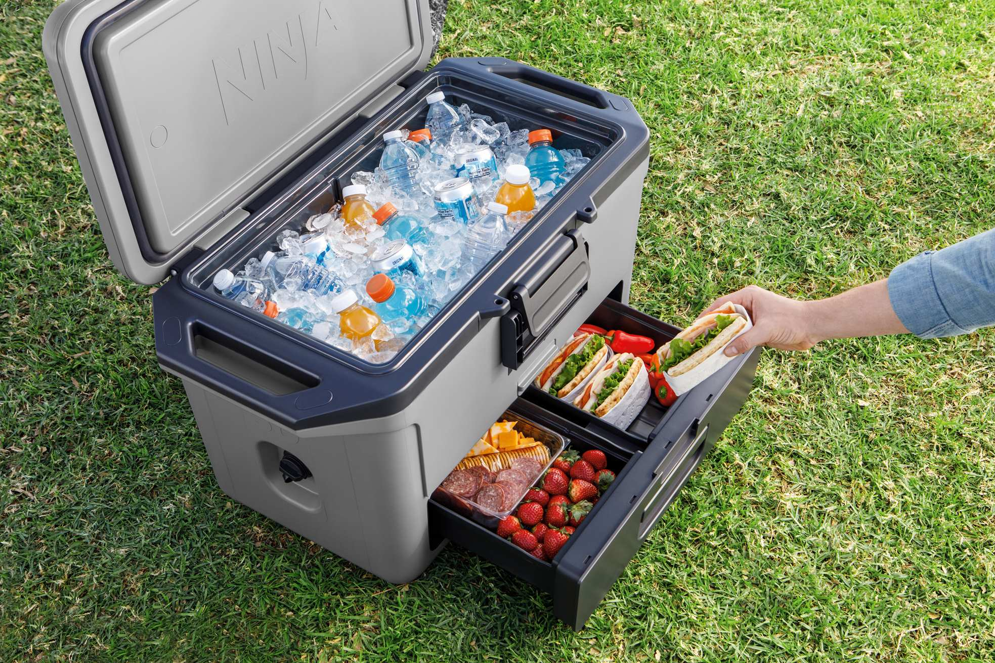 Ninja Cooler przenośny FrostVault szary 47L FB151EUGY
