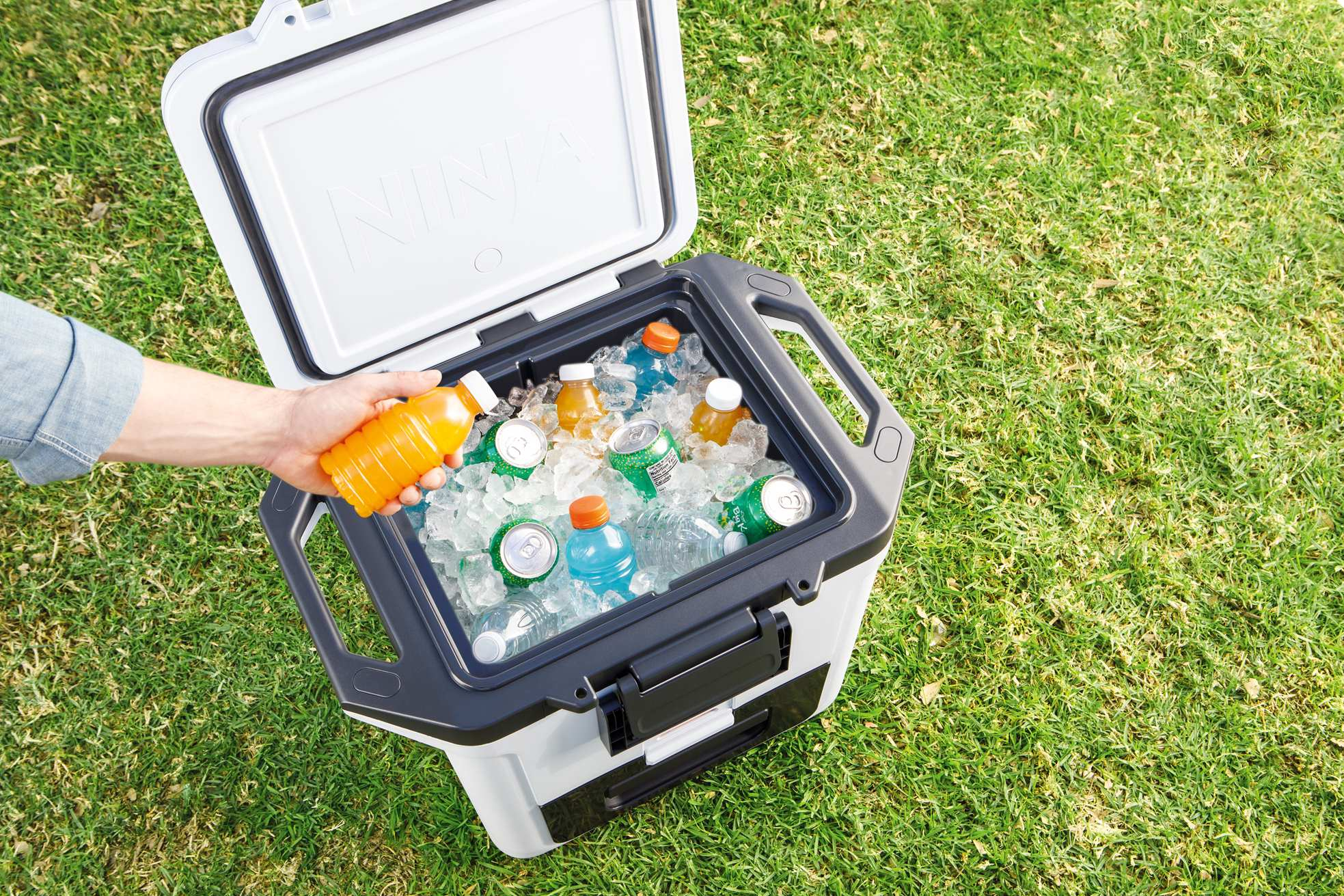 Ninja Cooler przenośny