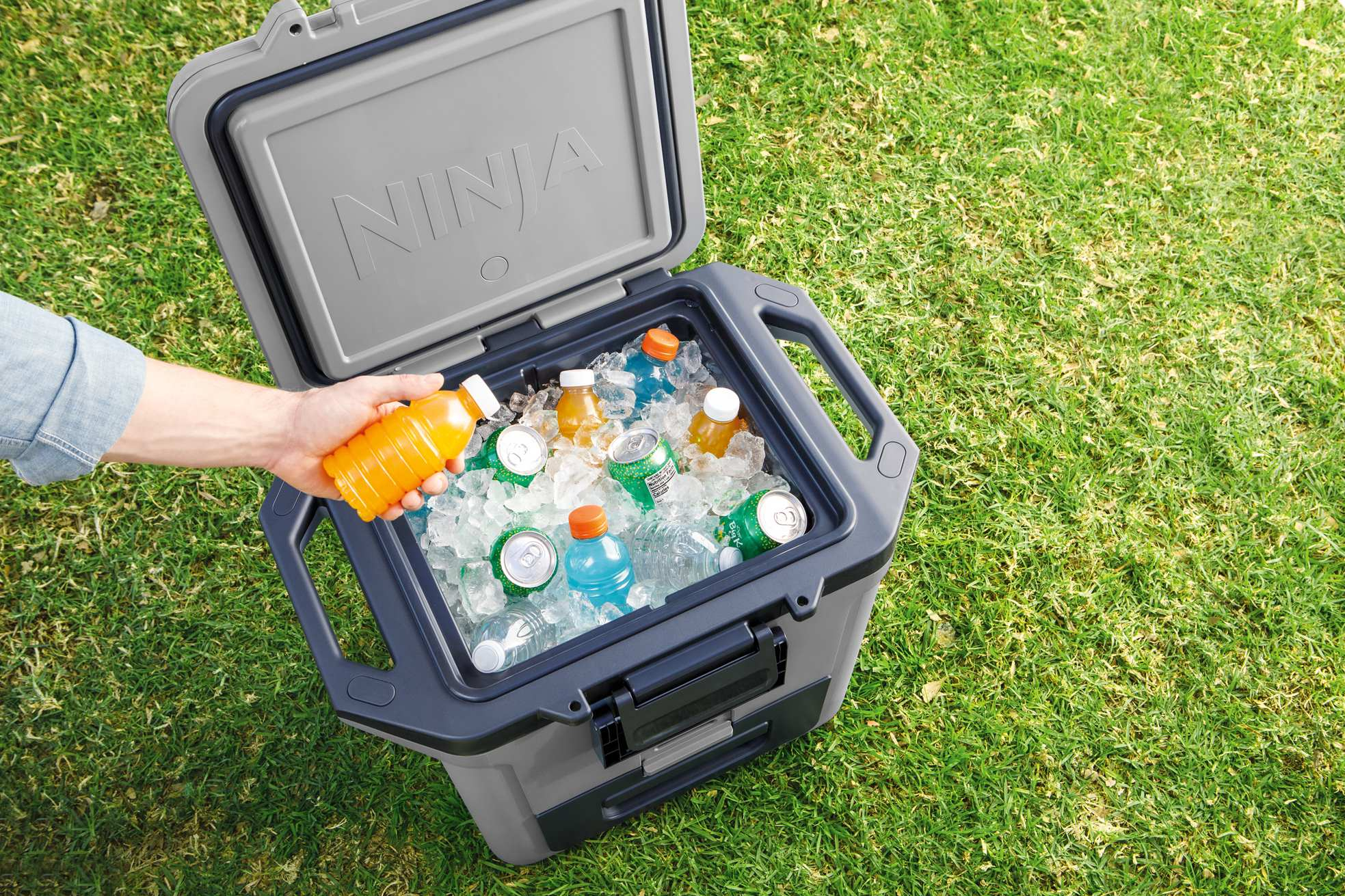 Ninja Cooler przenośny szary FB131EUGY
