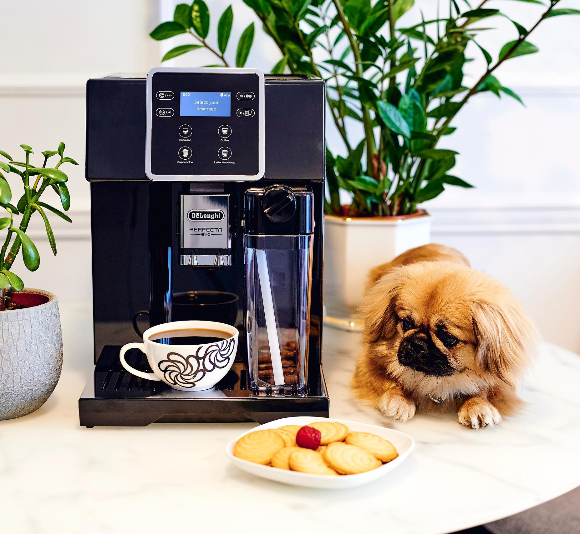 DeLonghi PERFECTA EVO ESAM 420.40.B