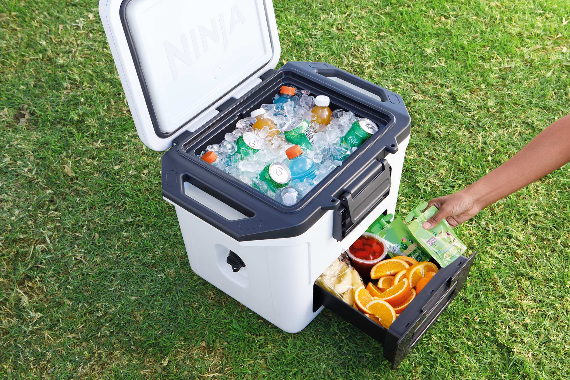 Ninja Cooler przenośny
