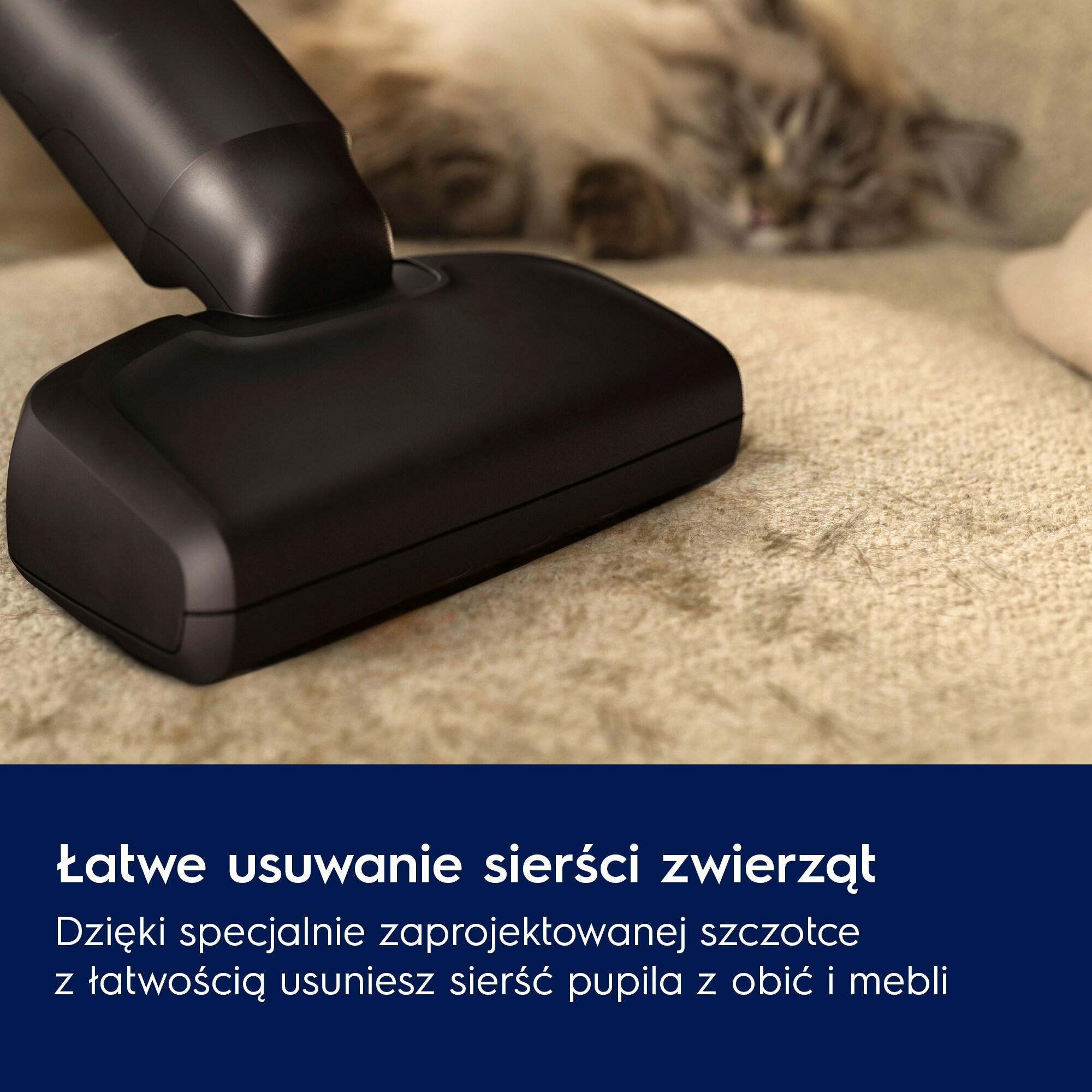 Electrolux Pionowy EP61AB21UG