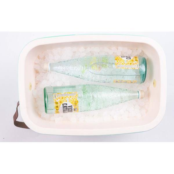POLARBOX Lodówka turystyczna Polarbox Cyan – Baby Rose classic 20L