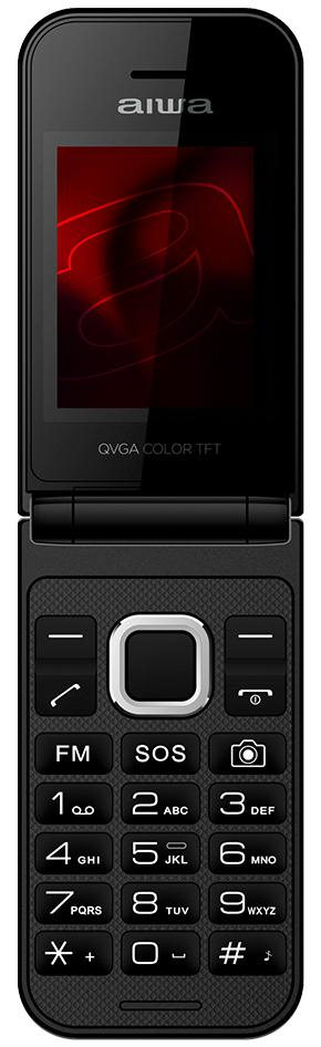 AIWA FP-24BKMKII