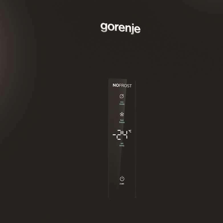 Gorenje FN619EABK6