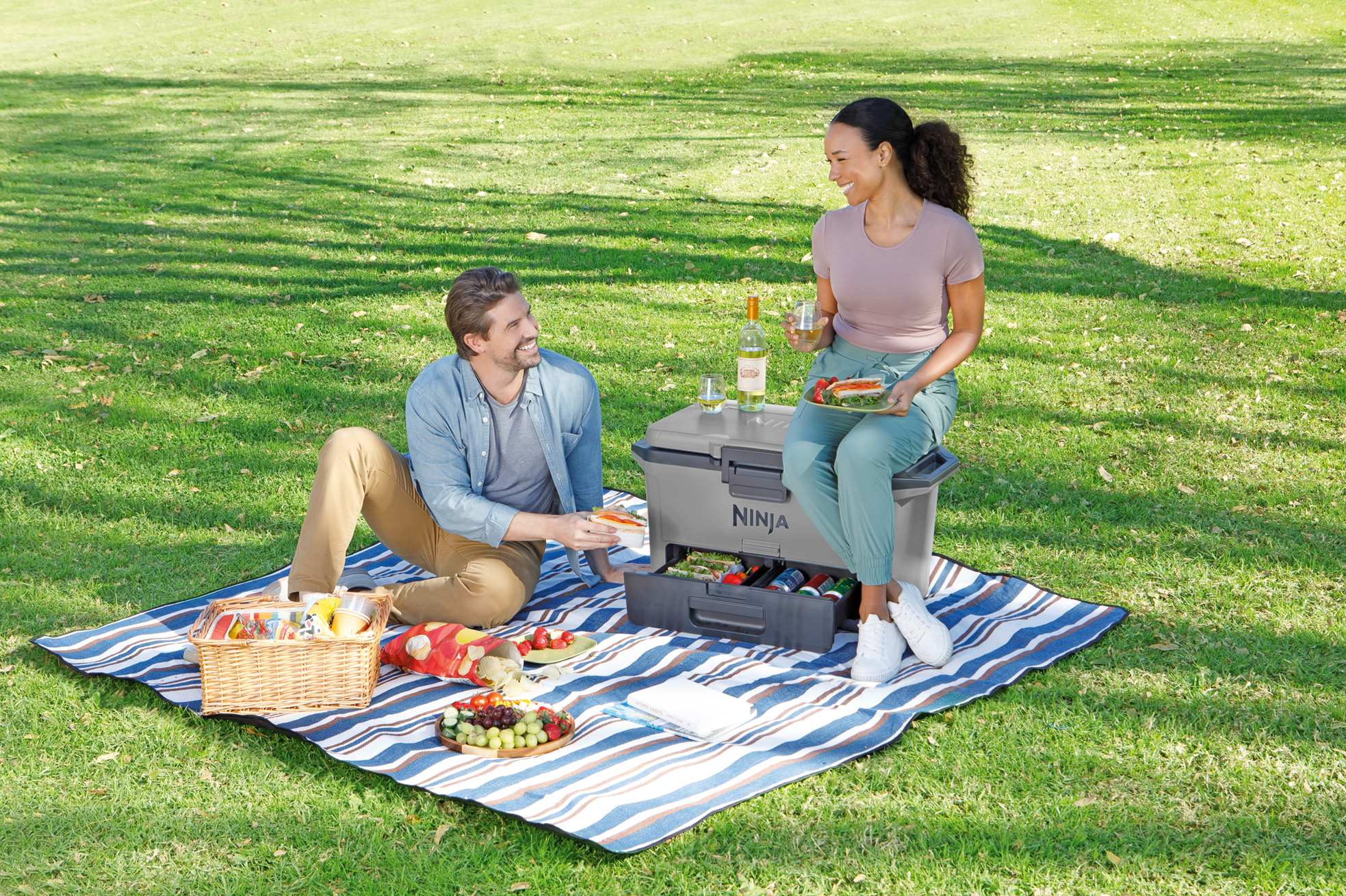 Ninja Cooler przenośny FrostVault szary 47L FB151EUGY