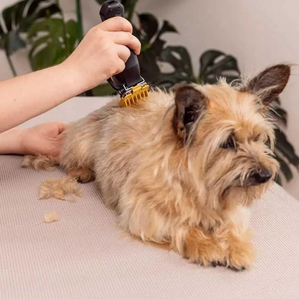 Wahl Maszynka dla zwierząt WAHL Colour Pro Cordless Pet