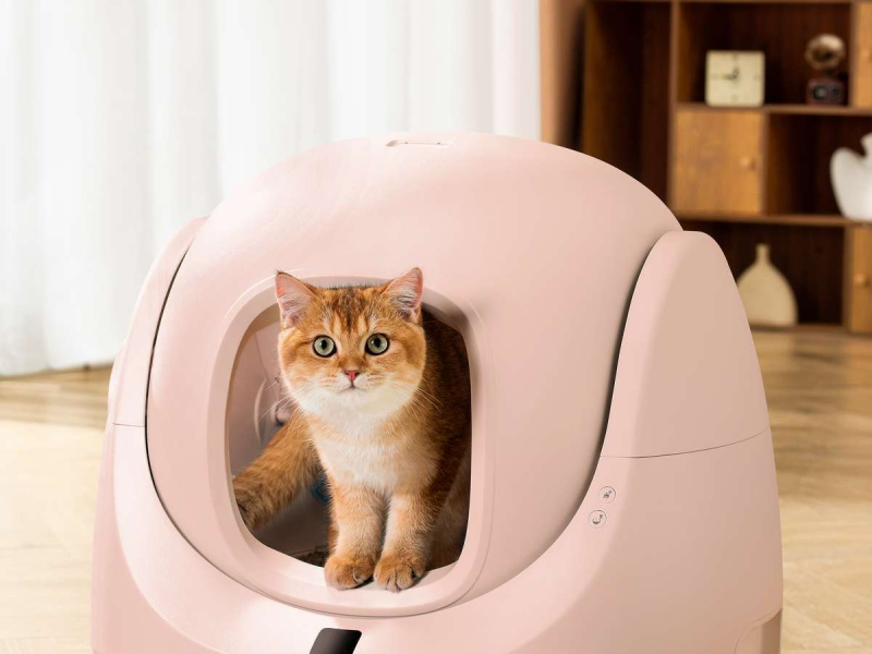 Catlink Baymax samoczyszcząca kuweta dla kota (różowa)
