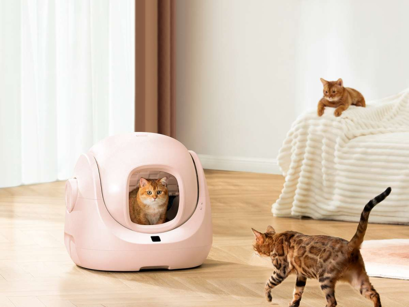 Catlink Baymax samoczyszcząca kuweta dla kota (różowa)