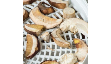 Jak suszyć grzyby w piekarniku? Poradnik krok po kroku