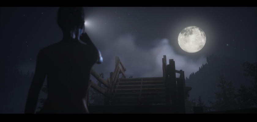 The Quarry nocne niebo