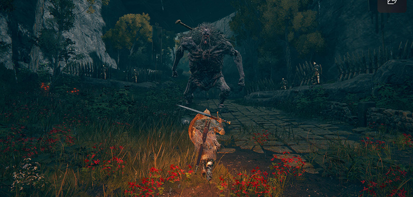 Elden Ring - screen