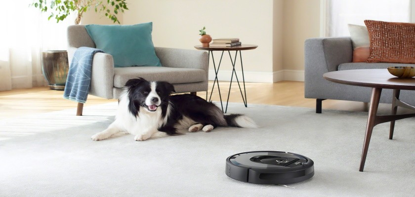 iRobot Roomba i pies