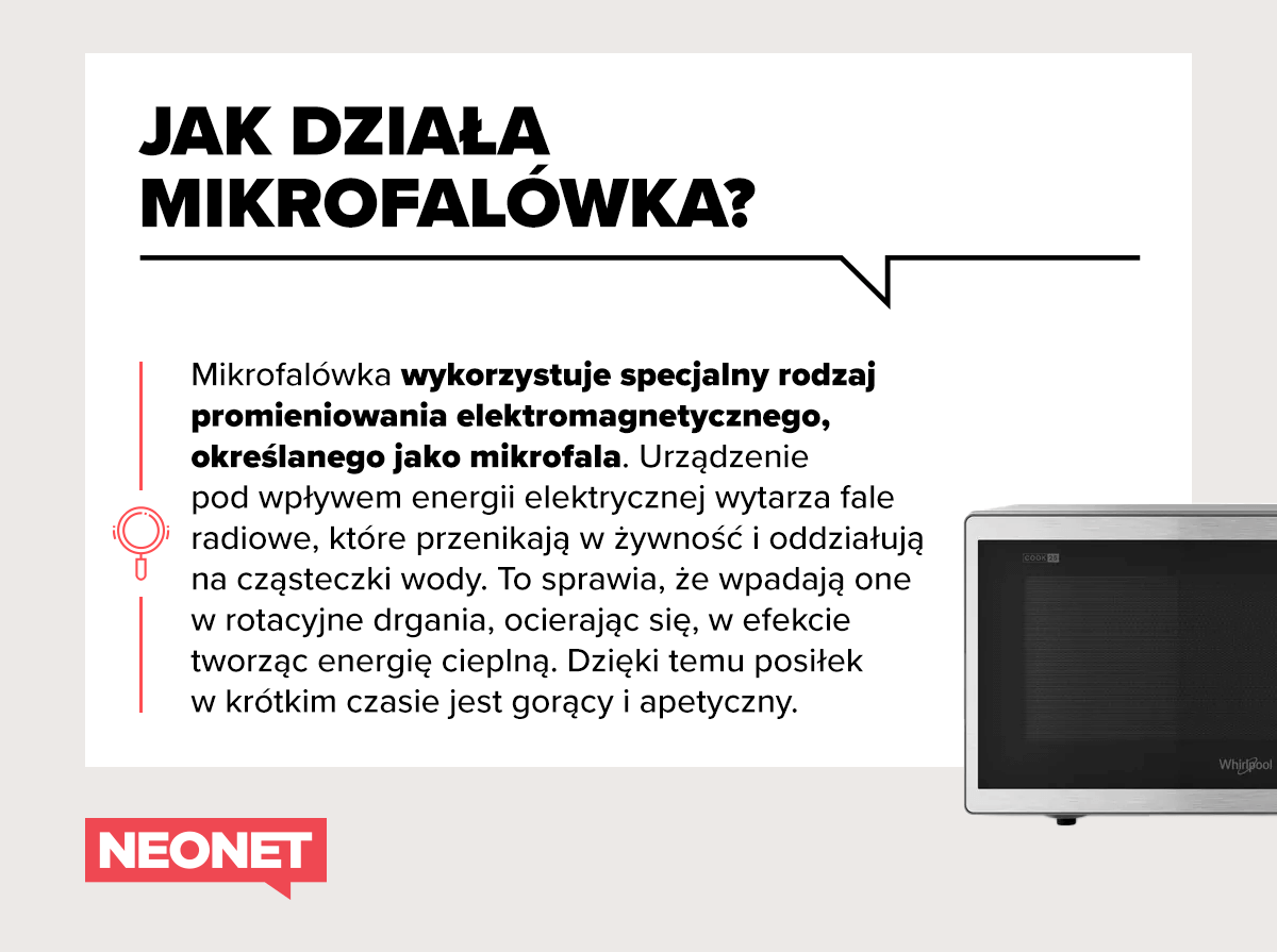 jak-dziala-mikrofalowka-infografika
