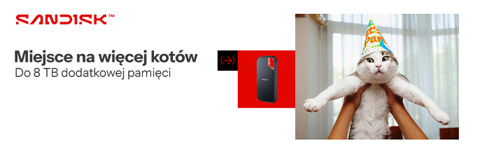 Miejsce na więcej kotów