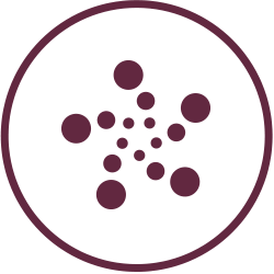 Philips Jony Ico