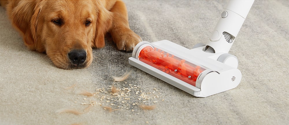 Xiaomi Vacuum Cleaner G11