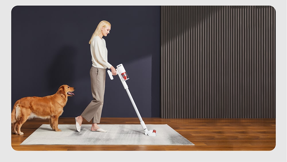 Xiaomi Vacuum Cleaner G11