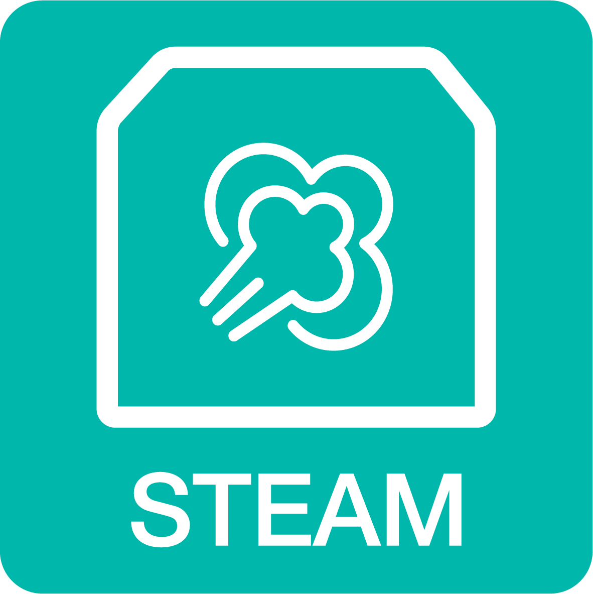 ExtraSteam