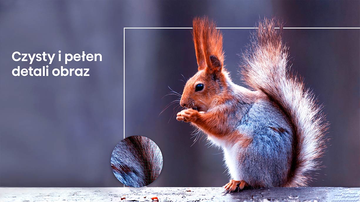 Czysty i pełen detali obraz