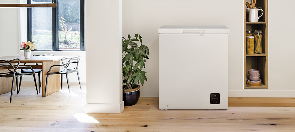 Chest Freezer