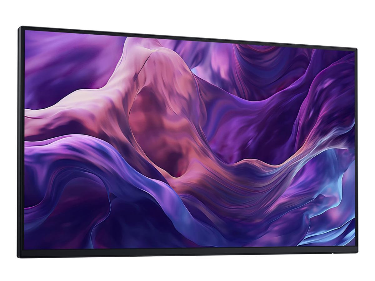 Dell P2425H/5Y