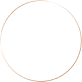 Cosori Pro Air Fryer