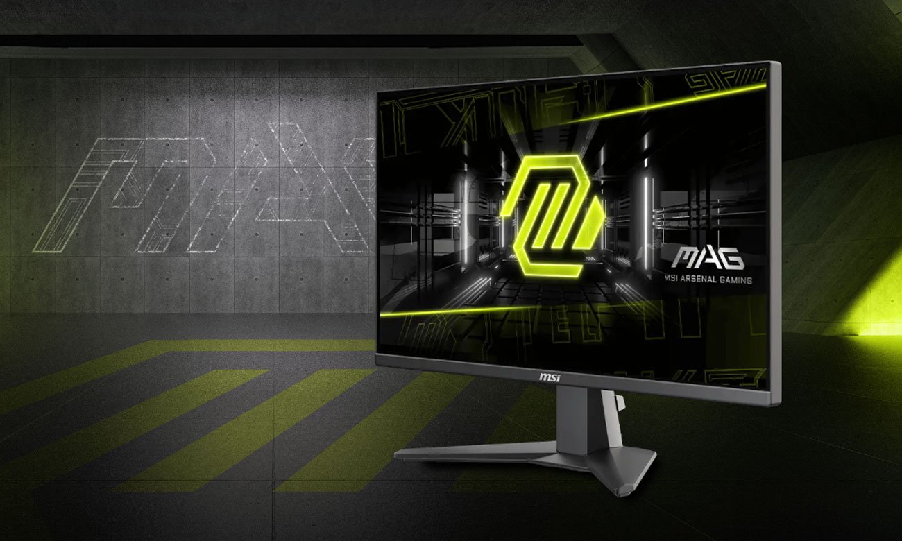 MSI MAG 255XF