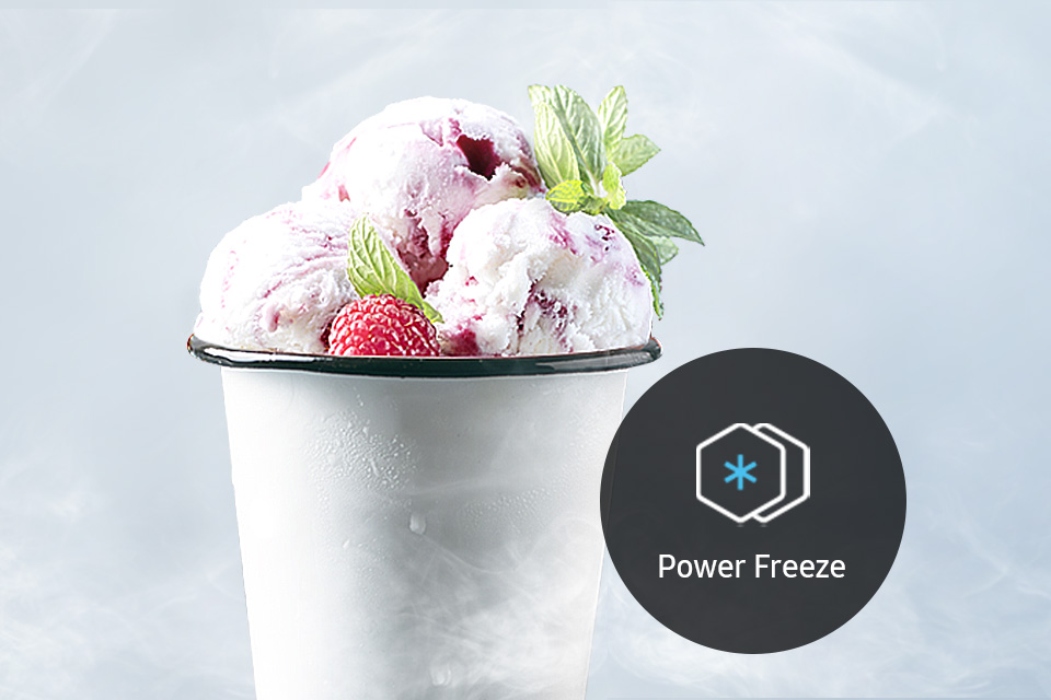 lodówka z funkcją power freeze