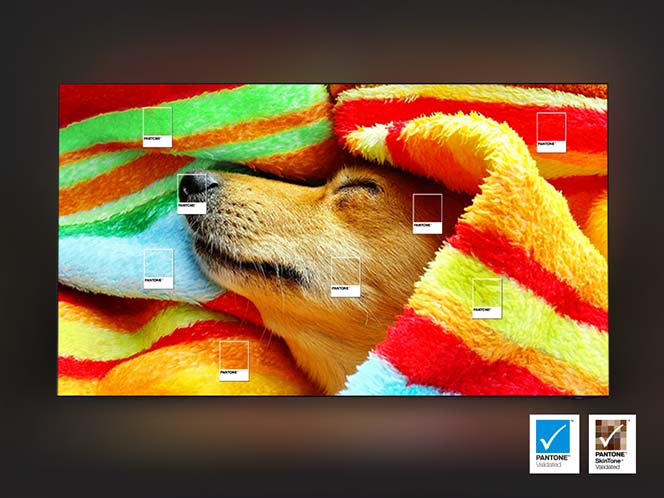 Slide 4