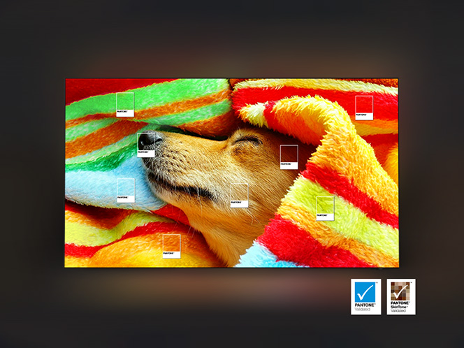 Slide 6