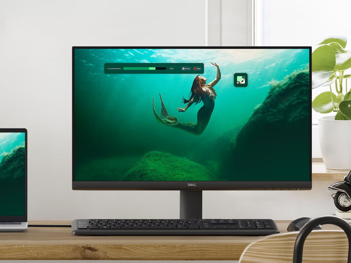 Dell SE2425HM