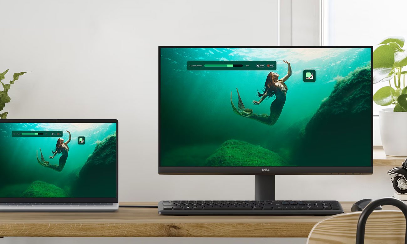 Dell SE2425HM