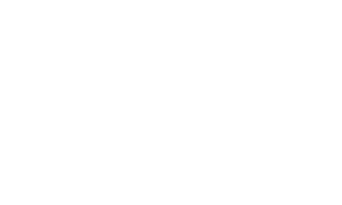 Logo Firmy Amica