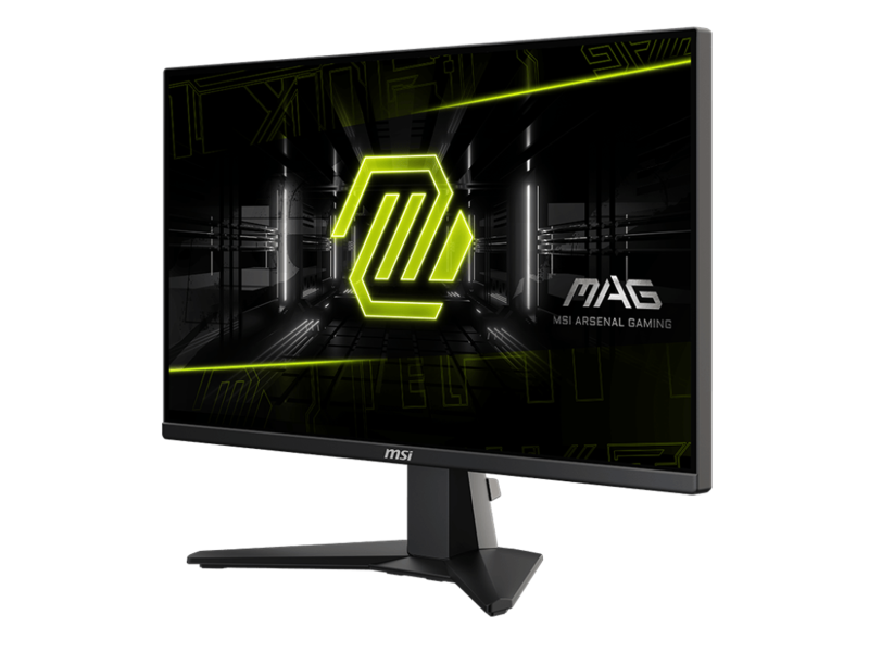 MSI MAG 255F E20