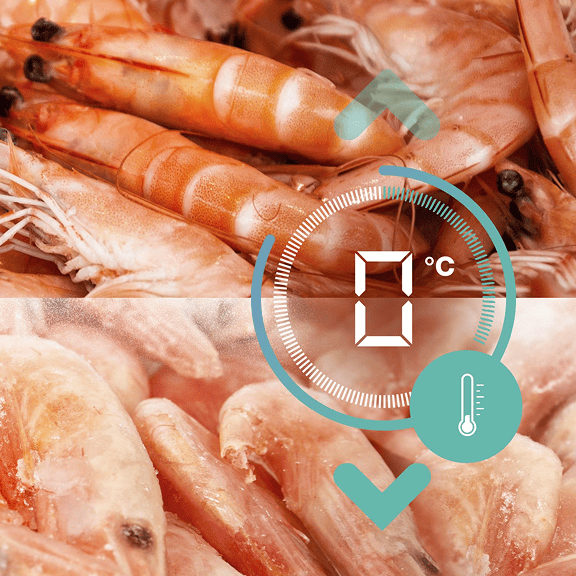Porównanie świeżych i mrożonych krewetek z symbolem termometru 0°C, ilustrujące idealne warunki chłodzenia w lodówce.