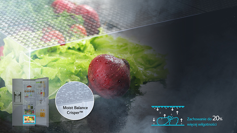 Moist Balance Crisper™4