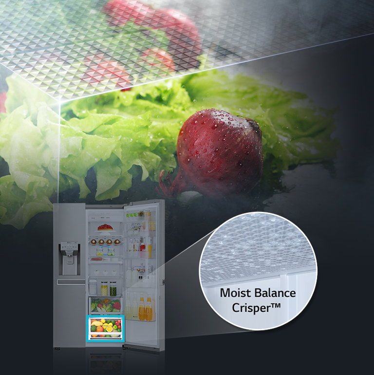 Moist Balance Crisper™4