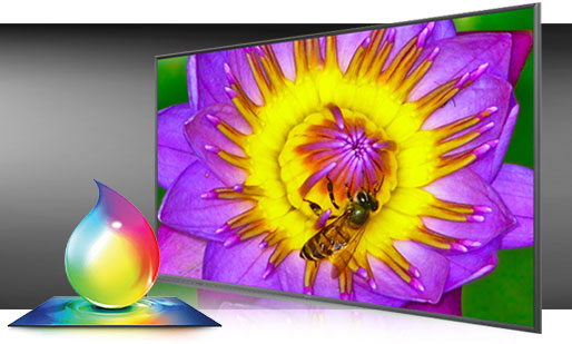 Technologia Pur Color