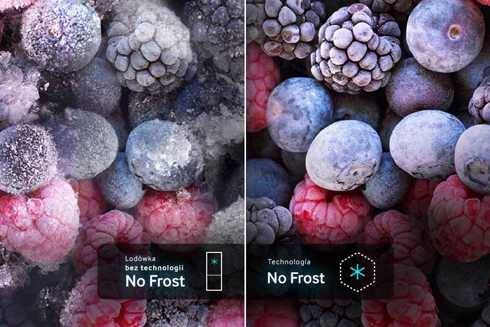 phpQxpfYr no-frost