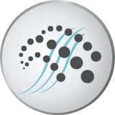 Ikona