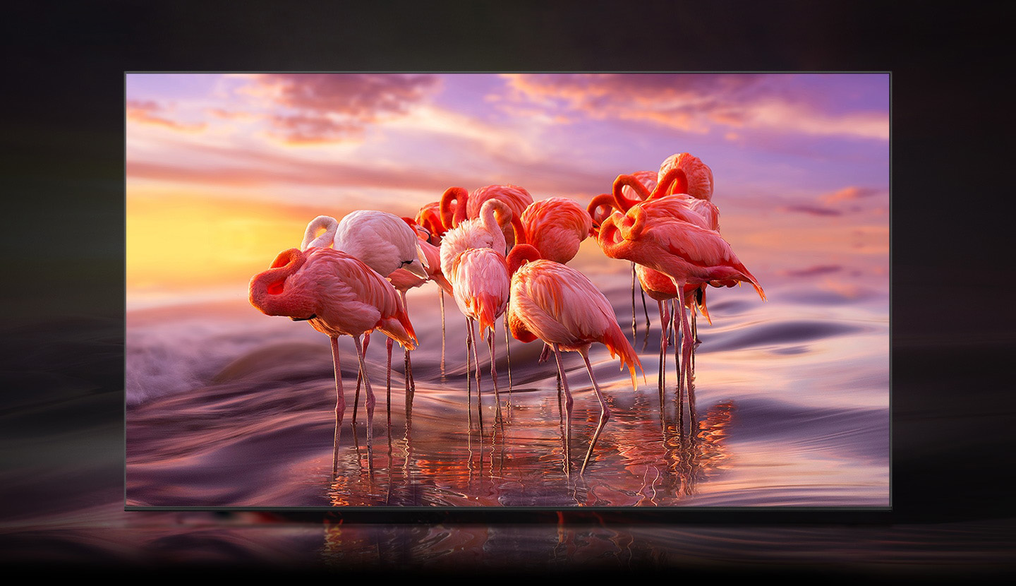 Telewizor QLED wyświetla stado flamingów w wodzie, by zademonstrować perfekcyjne cieniowanie kolorów w technologii Quantum Dot. Q67BAUXXH