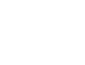 Voice Interaction
