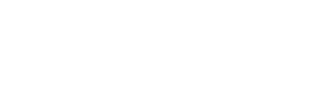 4100ppi
