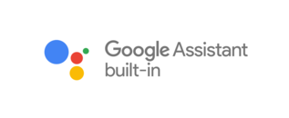 google Assistant